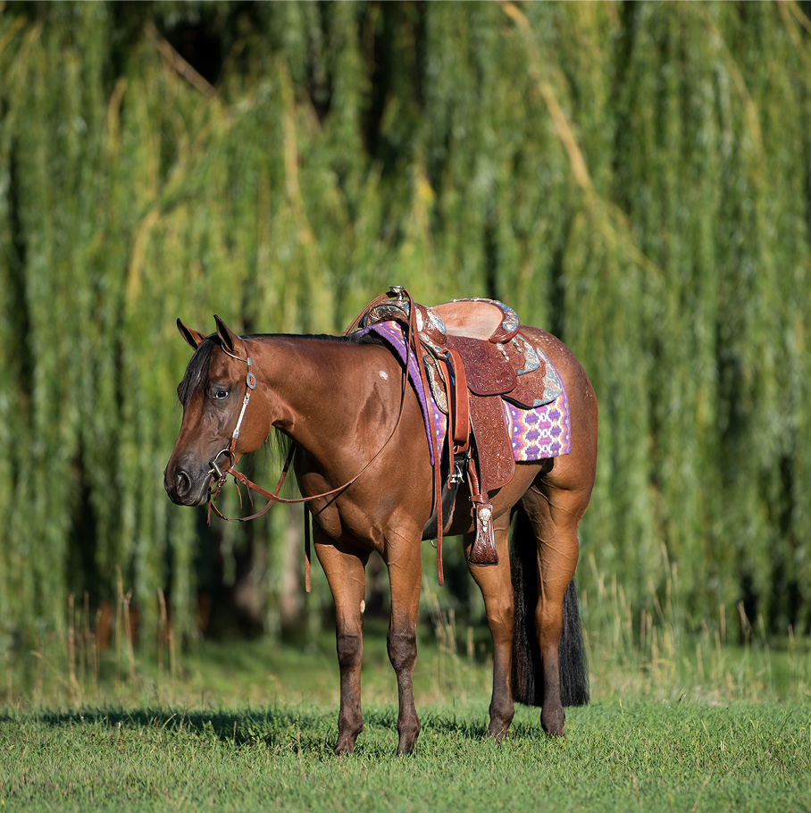 Helping Riders Choose with Confidence