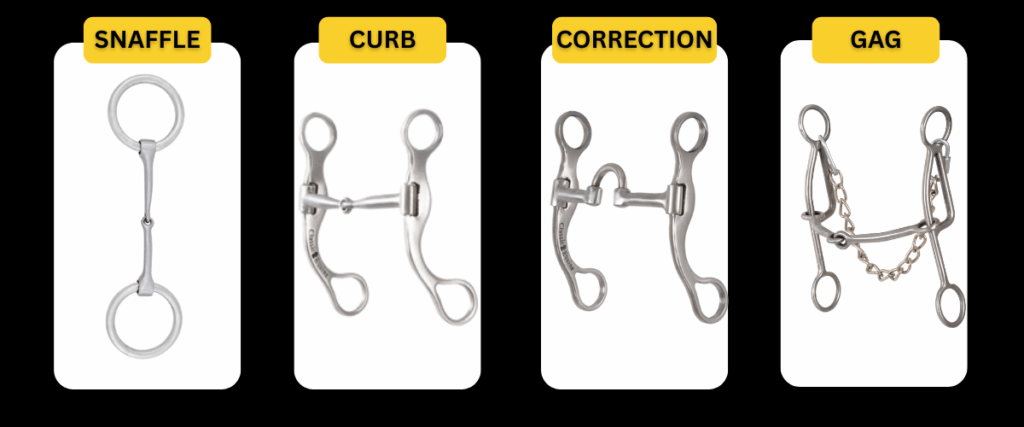 Comparison of snaffle, curb, correction, and gag horse bits