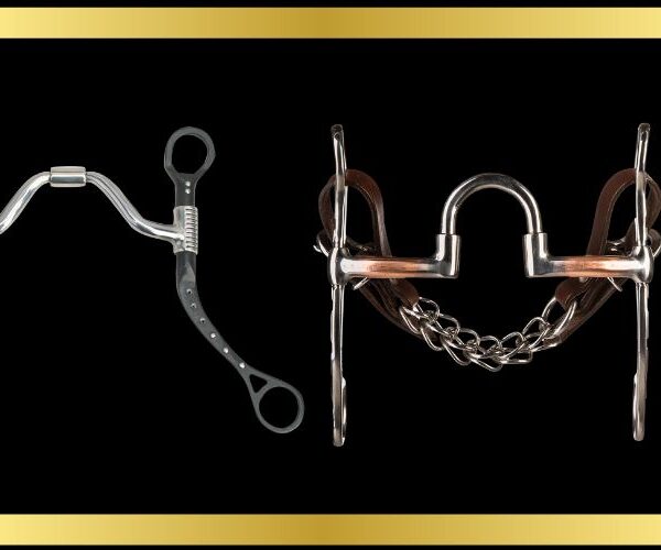 Different horse bit mouthpiece designs